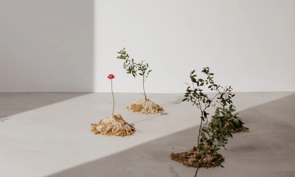 Customer Segmentation the foundation for sustainable growth