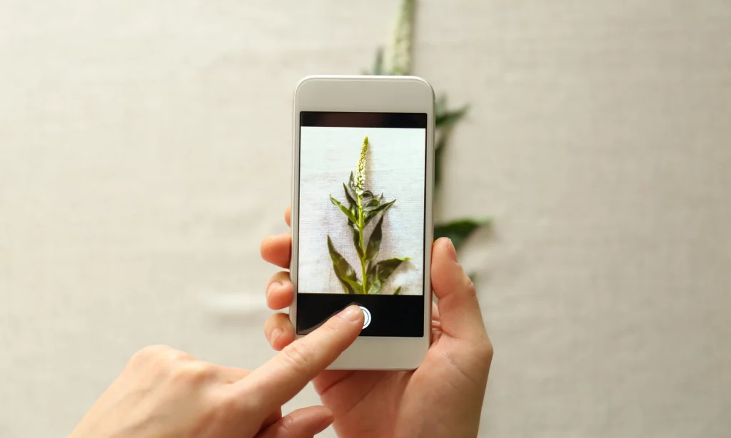 Emotional Marketing: how it guides buying behavior